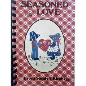 Vintage 1993 Seasoned With Love from Sandys Kitchen Cookbook Wabash County, Indi